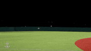 Go Navy Griddy GIF by Navy Athletics