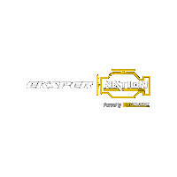 Ekspernation Sticker by Ecunation Remapping Official