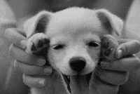 black and white eyes GIF