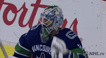 happy ice hockey GIF by NHL