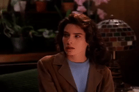 season 2 episode 3 GIF by Twin Peaks on Showtime