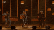 Acm Awards GIF by Academy of Country Music Awards