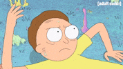 Season 1 Pilot GIF by Rick and Morty