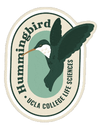 Birds Of A Feather Sticker by UCLA