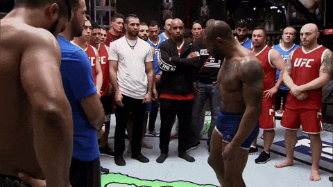 retire the ultimate fighter GIF