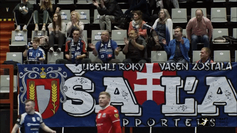 slovakhandball giphyupload slovakhandball handballfans sheplayoff GIF
