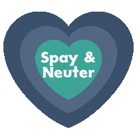 Spay Spaying Sticker by Big Paws of the Ozarks