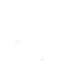 Bomdia Sticker by Agro Amazônia