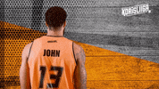 Sport Basketball GIF by Basket_fi