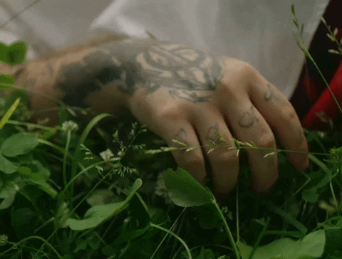 dmitrykozachenko giphyupload GIF