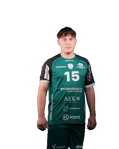 Handball Sticker by Wacker Thun