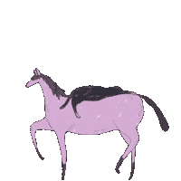 Horse Sticker by sunxinbiu