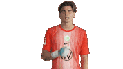 Shut Your Mouth Sticker by VfL Wolfsburg