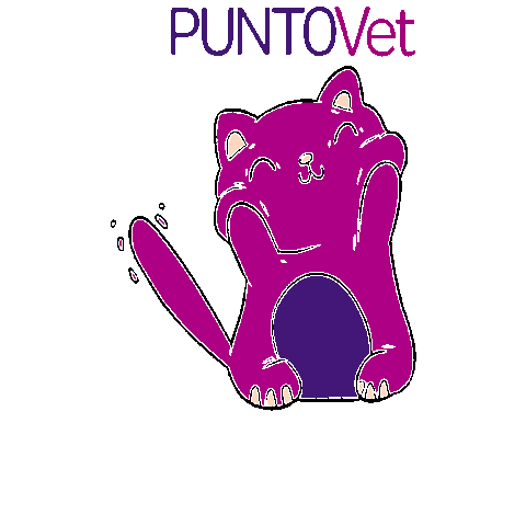 PuntoVet giphygifmaker cat gato perro Sticker