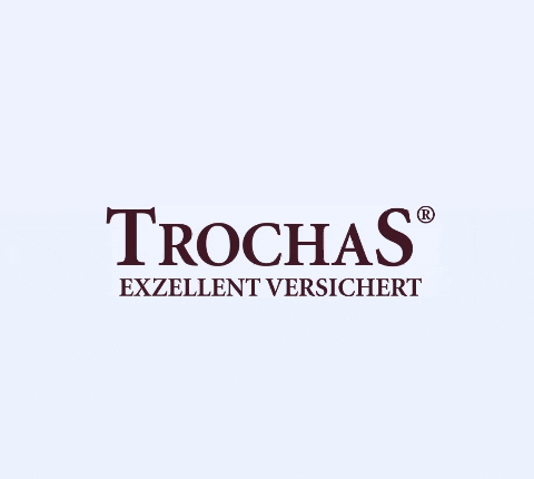 Dortmund Horde GIF by TrochaS