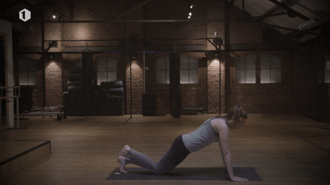 GIF by vrt