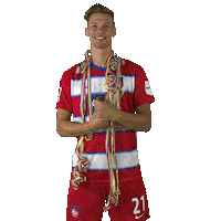 fch_1846 happy birthday geburtstag fch heidenheim Sticker