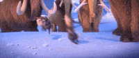 crash eddie GIF by Ice Age