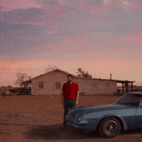 Adult Swim Reaction GIF by Alan Resnick