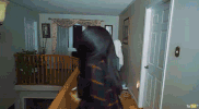 scared halloween GIF by Much
