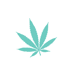 Beauty Makeup Sticker by essence