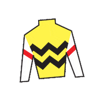 Sport Silk Sticker by Kentucky Derby