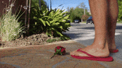 4th of july party GIF by Lucifer