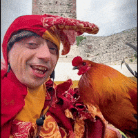 Gallo Medioevo GIF by Nespolo Giullare