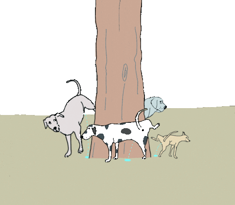 Hundecartoon Sticker by Susann Stoebe