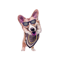 Sojuboycorgi Sticker by Bellucci Manila