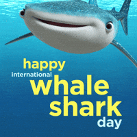 Finding Dory Sea GIF by Disney/Pixar's Finding Dory