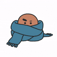 Style Scarf GIF by BT21