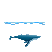 Ocean Protect Sticker by Sea Shepherd