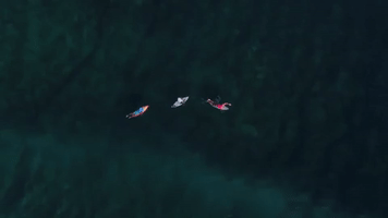 water sports sport GIF by World Surf League