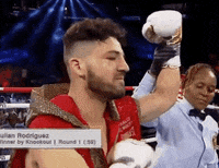 toprank fight boxing fighting espn GIF