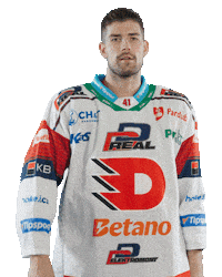Hockey Czech Sticker by HC Dynamo Pardubice