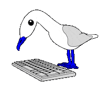 Studio Seagull Sticker by bounty.studio