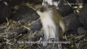 get together friends GIF by Celebrity Cruises Gifs