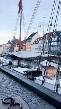 Great Danes Denmark GIF