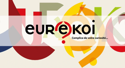 bmiepinal giphygifmaker GIF