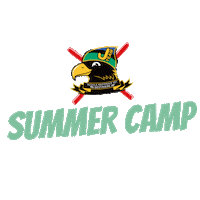Summer Camp Fisi Sticker by scuolascisestriere
