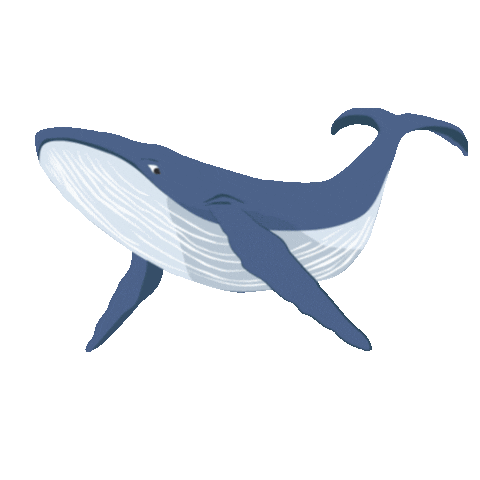 Water Whale Sticker by DisMoiDesMotu