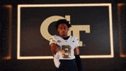 Georgia Tech Football Sport GIF by Georgia Tech Yellow Jackets