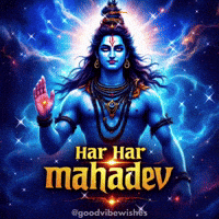 Indian Culture Shiva GIF