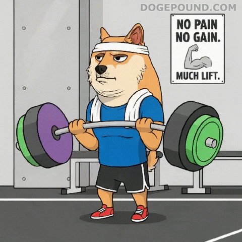 Shiba Inu Fitness GIF by Doge Pound