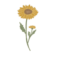 designonthemoon nature sun flowers yellow Sticker
