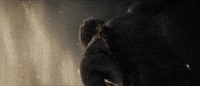 Trailer Elden Ring GIF by BANDAI NAMCO