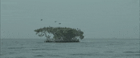 Birds Hunting GIF by TIFF