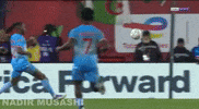 Boulbina GIF