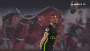 Football Sport GIF by VfL Wolfsburg